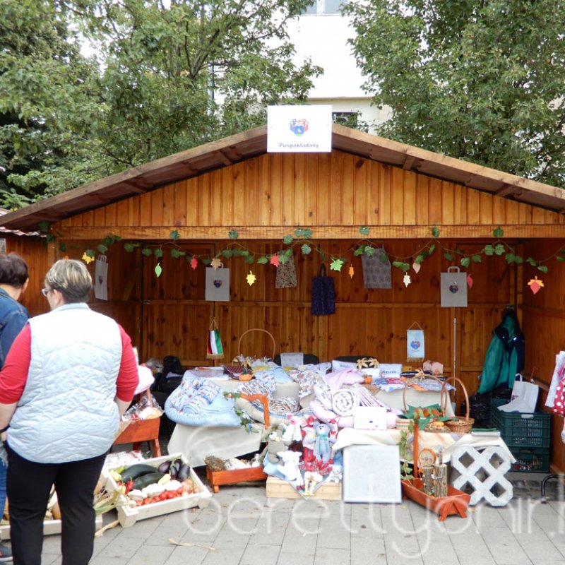 Helyi Értékek Startja 41